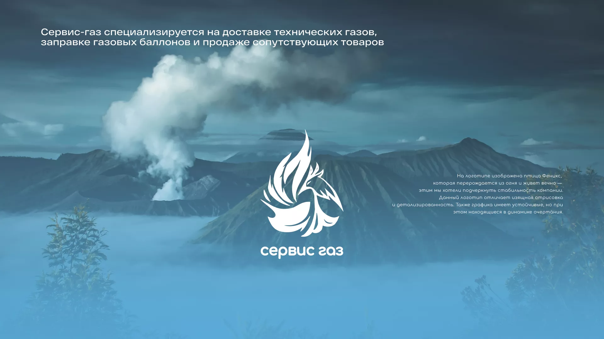 Создание сайта компании «Сервис газ» в Скопине