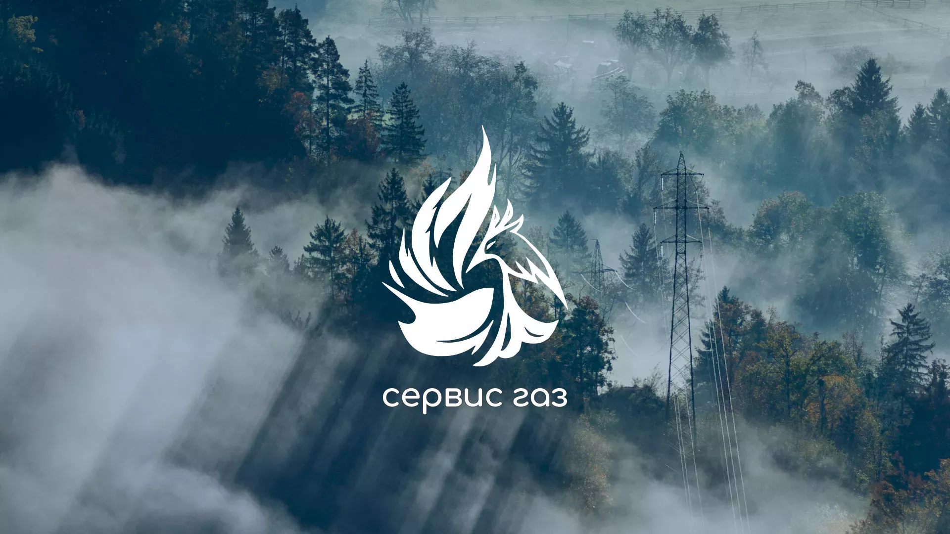 Создание сайта компании «Сервис газ» в Скопине