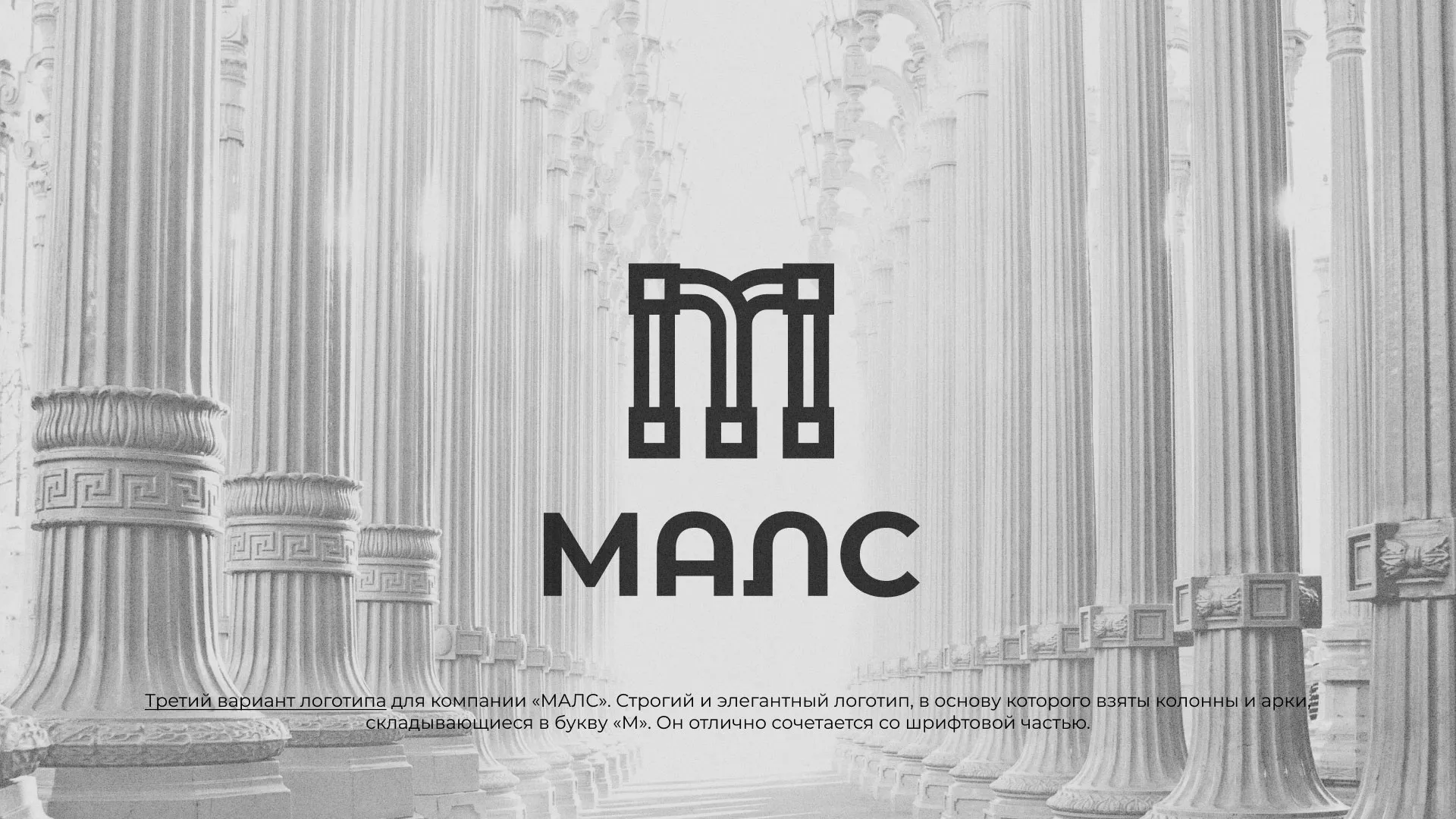 Разработка логотипа компании «МАЛС» в Скопине