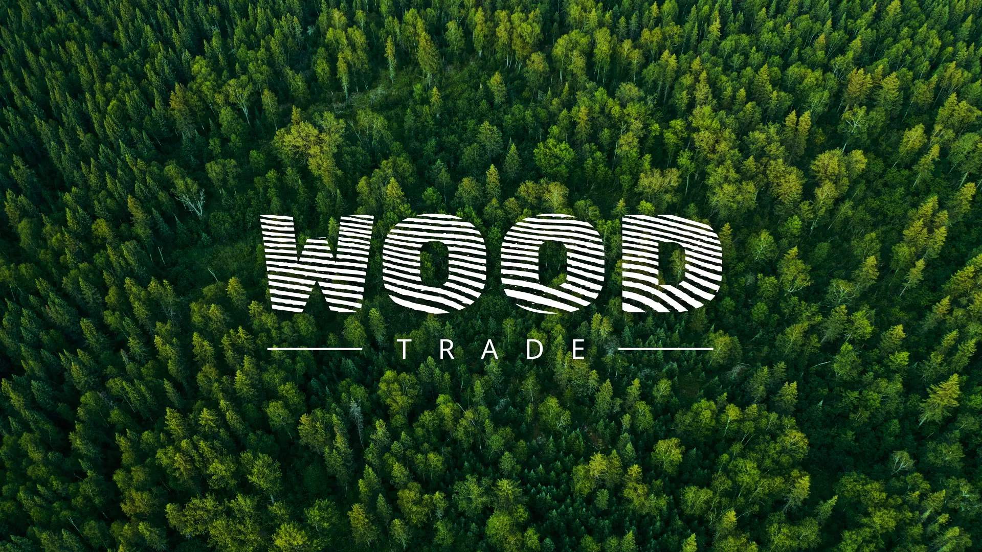 Разработка интернет-магазина компании «Wood Trade» в Скопине
