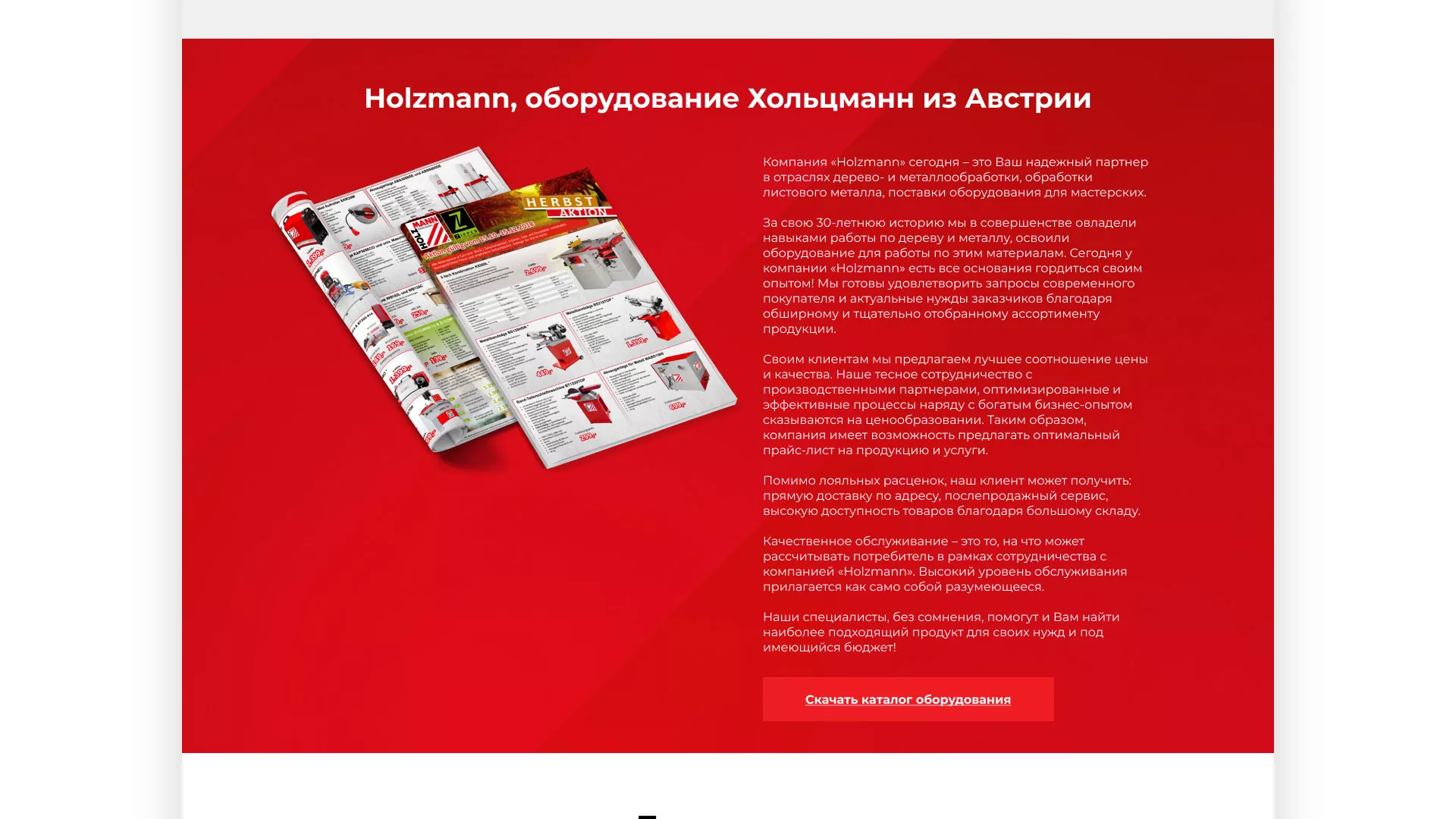 Создание сайта компании «HOLZMANN Maschinen GmbH» в Скопине