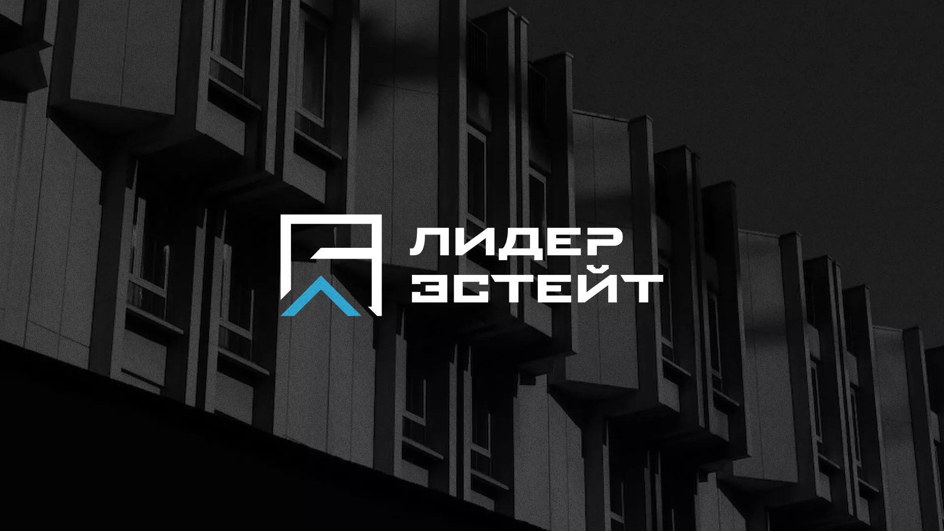 Разработка логотипа агентства недвижимости «Лидер Эстейт» в Скопине