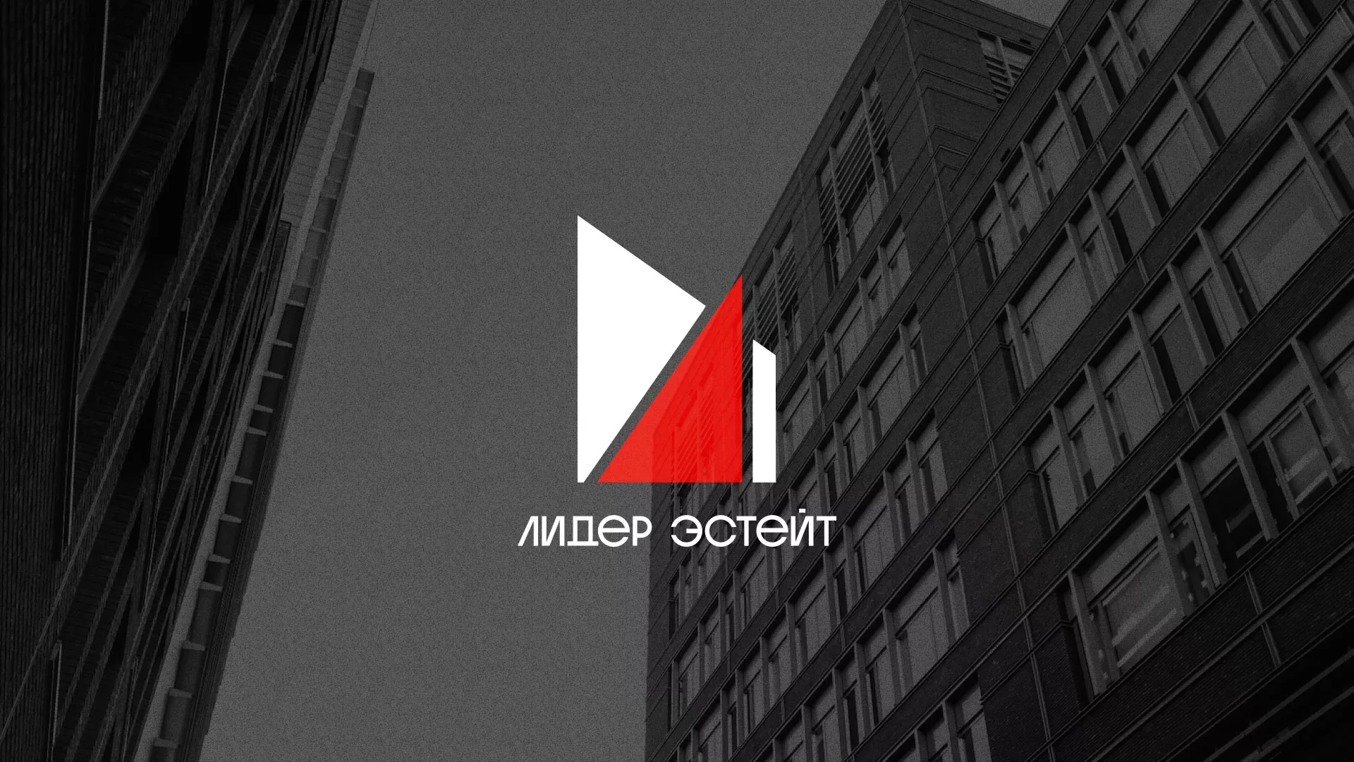 Сделали логотип для агентства недвижимости «Лидер Эстейт» в Скопине