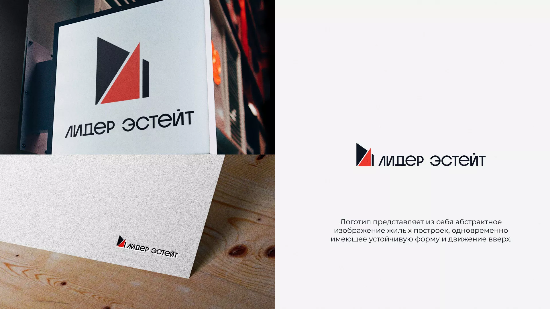 Сделали логотип для агентства недвижимости «Лидер Эстейт» в Скопине